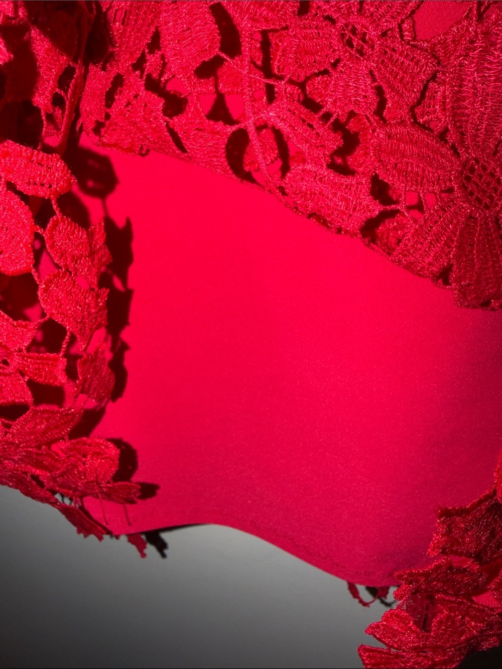 Lauren Ralph Lauren Red Floral Lace Midi Dress - Picture 5 of 9